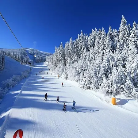 Host2u New 2 Bd, Fireplace, Free Parking Apartment Bansko