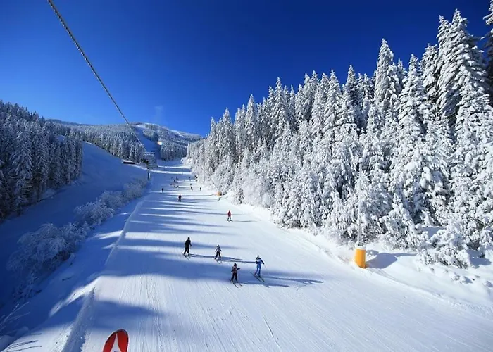 Host2u New 2 Bd, Fireplace, Free Parking Apartmán Bansko